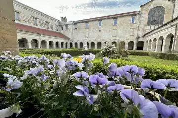 Le jardin du cloître